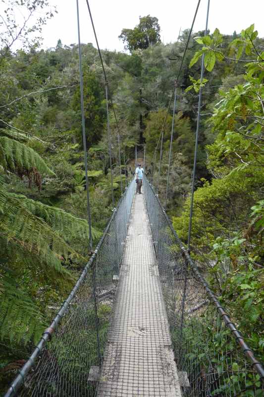 Nieuw-Zeeland 2011 - 1022